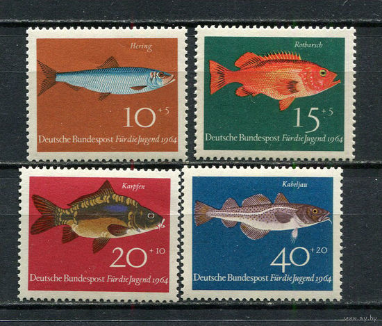 ФРГ - 1964 - Рыбки - [Mi. 412-415] - полная серия - 4 марки. MNH.  (Лот 58Jw)-T9P1