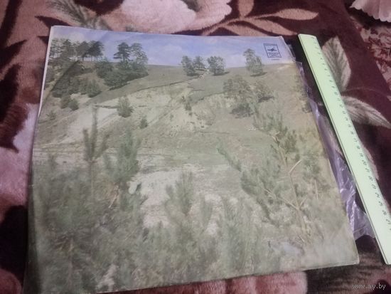 С Новым Годом !!!