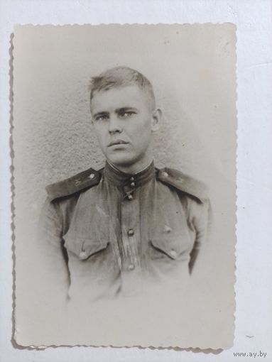 Фото в коллекцию