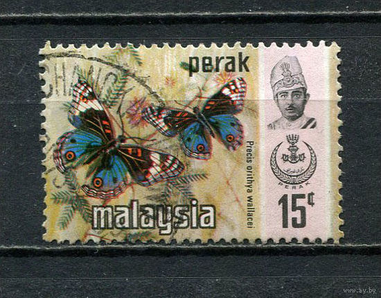 Малайские штаты - Перак - 1971/1977 - Бабочки 15С - [Mi.127I] - 1 марка. Гашеная.  (Лот 65FB)-T25P9