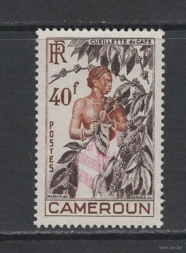 Французский Камерун 1954** Сбор кофе