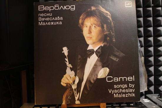 Вячеслав Малежик, Саквояж - Верблюд (1988, Vinyl)