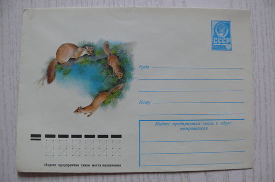 Исаков А., ХМК, Куница-белодушка; 1978.