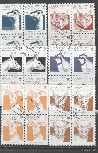 Сахара 6 квартов 1992г