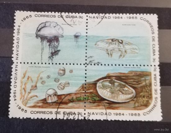 Куба 1964 Фауна морская медузы
