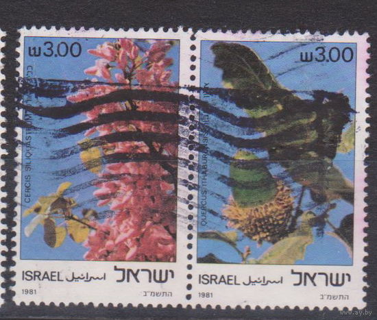 Деревья Флора Израиль 1981 год лот 15 Серия без 1 марки