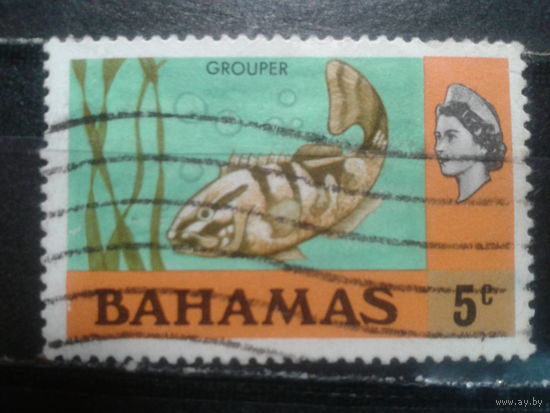 Багамы, колония Англии, 1971/1978. Морской окунь и королева Елизавета II