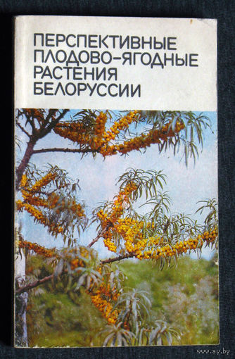 Перспективные плодово-ягодные растения Белоруссии.