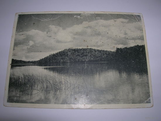 Открытка старинная до 1939 года Пейзажи Беларуси Зеленое озеро около Вильно Фото Ян Булгак. Состояние на фото. Чистая