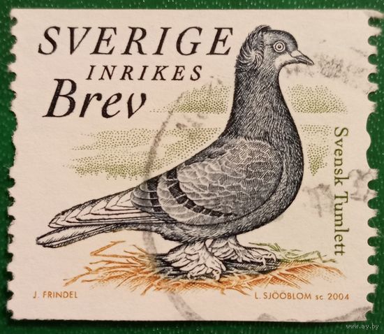 Швеция 2004. Голубь