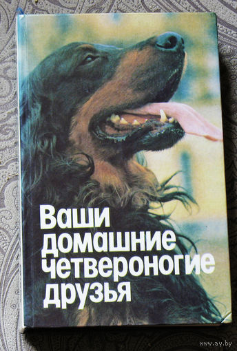 Ваши домашние четвероногие друзья.