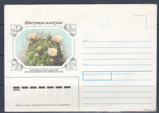 CCCР 1990. Кактус.