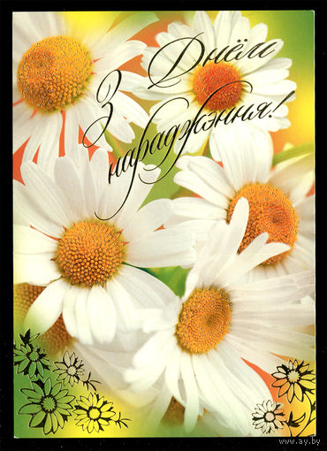 З Днём нараджэння! 2010