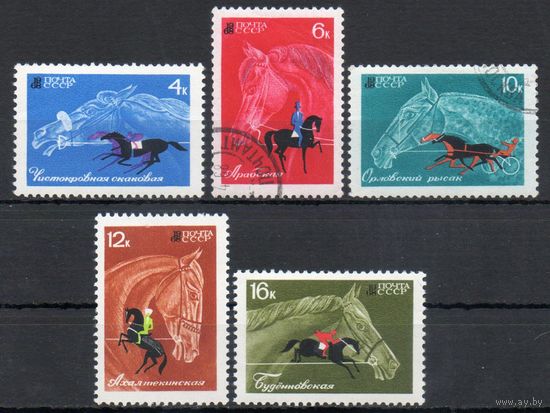 Коневодство и конный спорт СССР 1968 год (3598-3602) серия из 5 марок (см. описание)