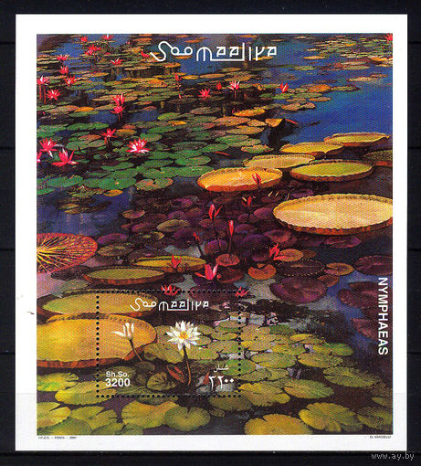 2001 Сомали. Кувшинка