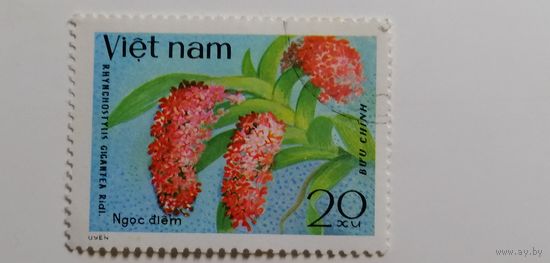 Вьетнам 1979. Орхидеи.
