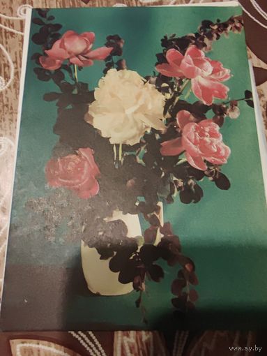 Открытка,телеграмма,подписана