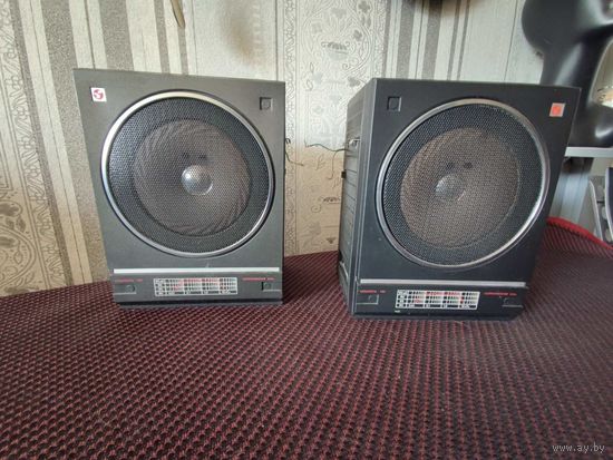Акустические колонки от магнитолы Вега.
