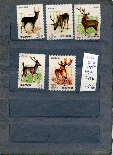 КНДР, 1966, фауна  ОЛЕНИ  серия 5м **, чистая