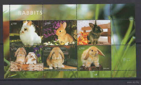 Малави 2011** Фауна Кролики