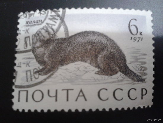 СССР 1971 калан