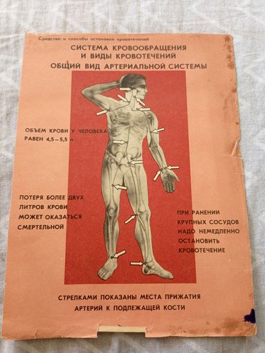 Плакат СССР по Гражданской обороне\8д