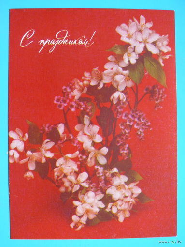 Агладзе Н., С праздником! 1990, чистая.