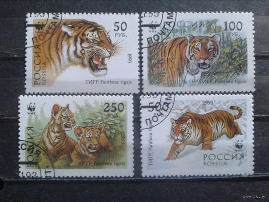 Россия 1993 WWF Уссурийский тигр Полная серия