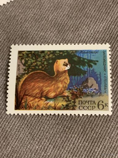 СССР 1975. Колонок. Марка из серии