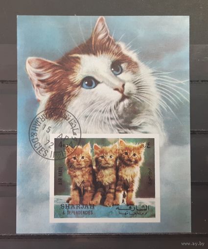Шарджа. 1972 год. Фауна. Кошки (блок, беззубцовка)