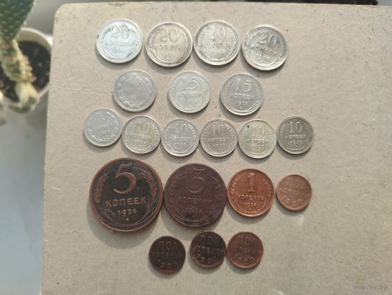 Кошель РСФСР 1924-1930 / 20монет