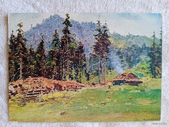 1955. Шишко. Полонина (Украинская ССР)