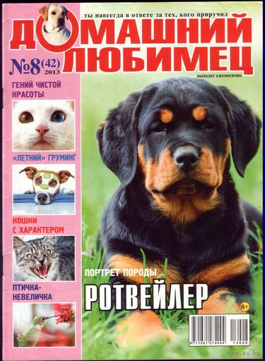 Домашний любимец #42