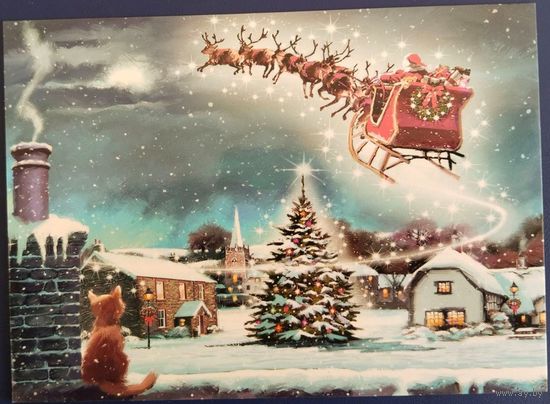 Санта и кот. Белорусь. 2022 г.