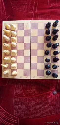 Шахматы.