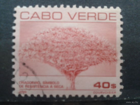 Кабо Верде, 2000. Стандарт. Драконово дерево. Mi-1,4 евро гаш.