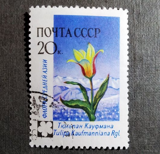Марка СССР 1960 год Флора СССР