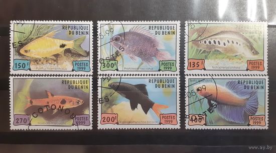 Бенин. 1999 год. Фауна. Рыбы (41)