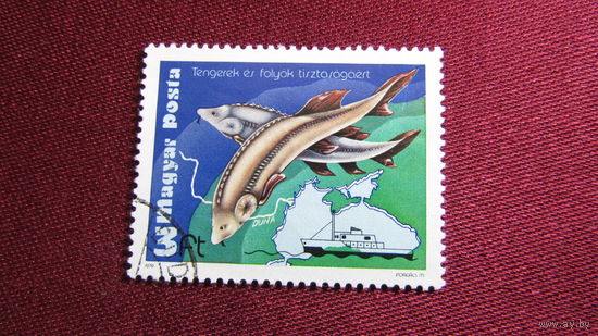 Венгрия 1979г. Охрана окружающей среды рек и морей