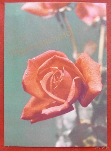Приглашение. Подписанная. 1987 года. Фото Мяэметса. 826.