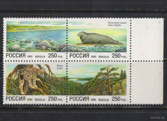 Россия РФ 1995 Природа Нерпа Рысь Пейзажи  Сцепка #203-6**