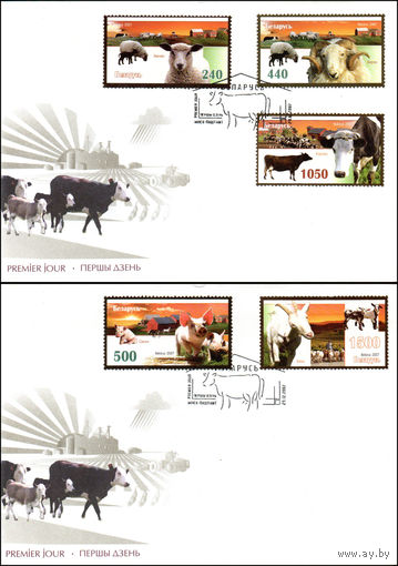 Беларусь 2007 год 2 конверта первого дня Сельскохозяйственные животные. Домашний скот