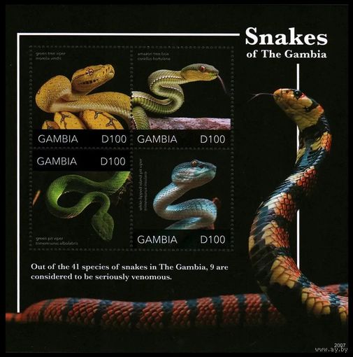2020 Гамбия 7808-7811KL Рептилии - Змеи 20,00 евро