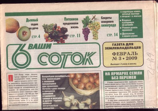 6 соток 3-2009