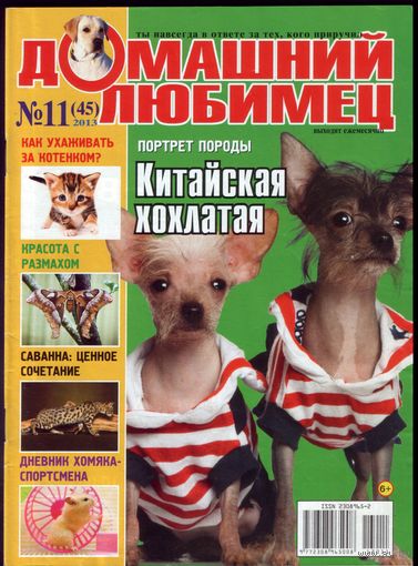 Домашний любимец #45