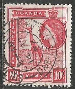 Кения Уганда и Танганьика. Королева Елизавета II. Жираф. 1954г. Mi#93.