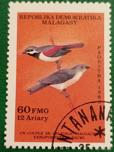 Мадагаскар 1986. Фауна. Птицы. Марка из серии