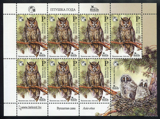 2015_Ушастая сова. Птица года.