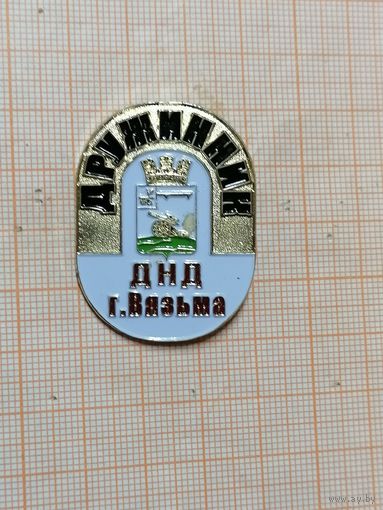Дружинник. ДНД. Вязьма.