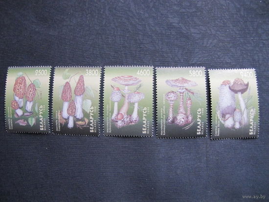 Марки РБ (##286-290). Грибы
